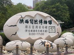 -陕西自然博物馆