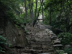 -大岭沟猕猴桃谷风景区