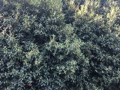 -同济大学(嘉定校区)