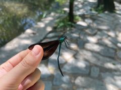 -灵溪风景区