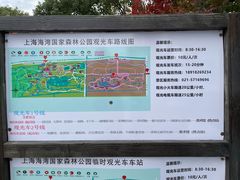 -上海海湾国家森林公园