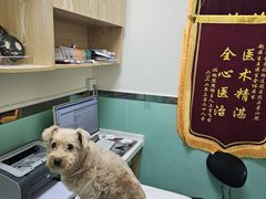 -全心全意连锁动物医院(石景山店)