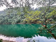 -鼎湖山风景区