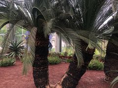 -南通洲际绿博园