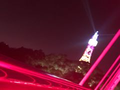 -金鸡山公园