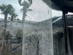 -武汉动物园