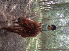 静安马场-沈阳静安马场