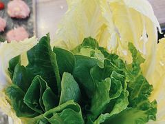 -探窝·竹笙椰子鸡(杨箕店)