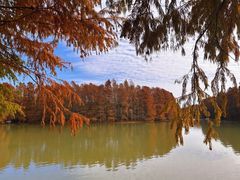 -上海海湾国家森林公园