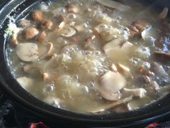 -蘑统田下·野生菌火锅