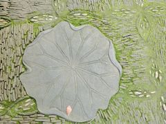 -汇龙潭