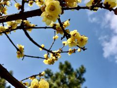 -白塘生态植物园