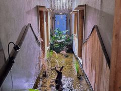 -邈墨茶馆(凤起路店)