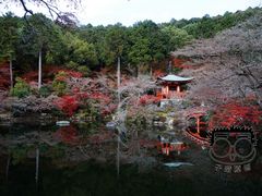 -醍醐寺