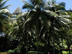 -海南清水湾莱佛士酒店