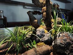 -曲廊院(东四十一条店)