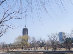 -西海子公园