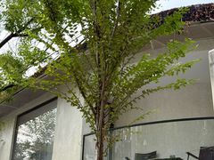 -北芒BEIMO COFFEE(五台山店)