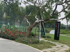 -府河摄影公园