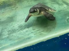 -泉州海丝野生动物世界