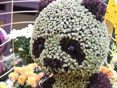 -杭州植物园