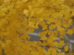 -苏州河梦清园环保主题公园