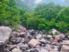 -王莽岭风景区
