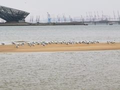 -山海广场