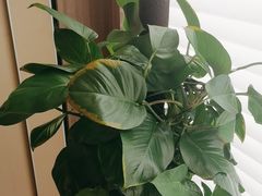-忆家一宴(大木桥路旗舰店)