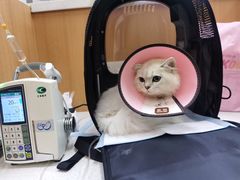 -联合动物医院(光谷诊疗中心)