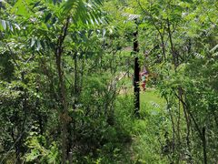 -云岫谷游猎自然风景区