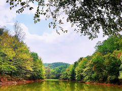 -青龙山国家森林公园