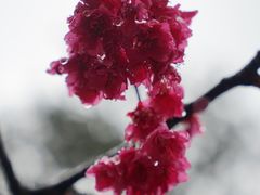 -黔灵山公园