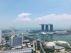 -新加坡瑞士史丹福酒店