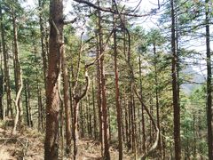 -明堂山风景区