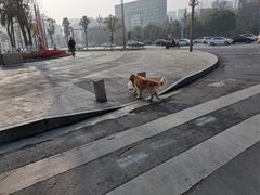 -温江公园