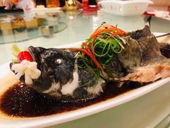 -满福隆酒楼(万绿园店)