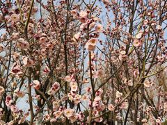 -艾山风景名胜区