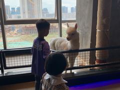 -昆明大悦城未来动物城(螺蛳湾中心店)