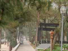-马銮湾景区
