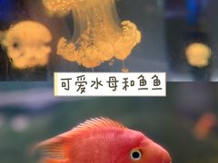 -杭州野生动物世界