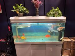 -梵SPA·影院足道·采耳(西藏北路店)