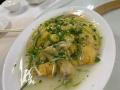 -新陶陶酒家