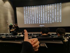 -CGV影城(红博中央公园IMAX店)