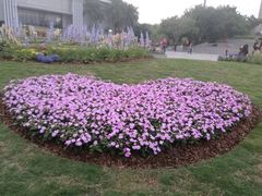 -深圳国际园林花卉博览园