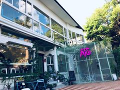 -有猫主题·治愈系猫咖(曾厝垵店)