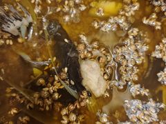 -大河宴椒麻鱼(嘉和园店)