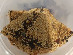 -哈啾嗨·新概念蒙餐(红星新城店)