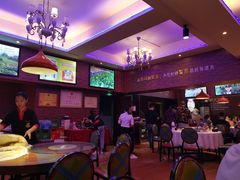 -新概念来凤鱼(璧山店)