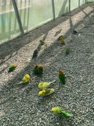 -萌宠亲子动物乐园(槐房万达店)